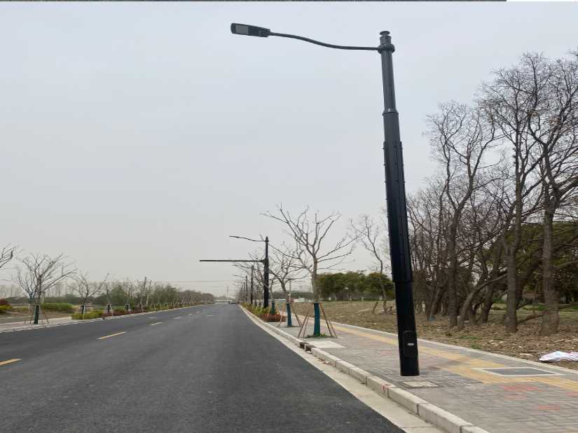 田阳区上海综合杆 太阳能路灯工程